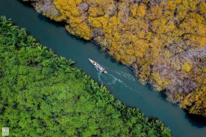 Best SIM Card for Tourists in Vietnam (2025 Guide)