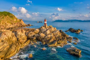 How to choose between Viettel eSIM local plan and international roaming solution