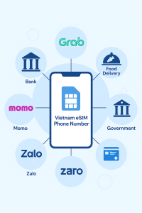 how to register services with vietnam esim phone number infographic