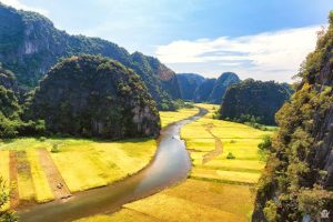 eSIM Installation Guide Vietnam: Fast & Easy Setup for 2025