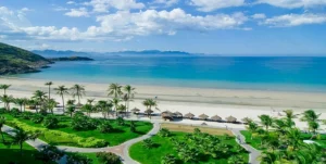 Vietnam eSIM for Remote Work: The Ultimate Guide for Digital Professionals
