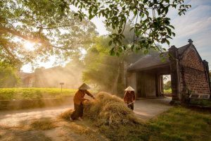 Long Term Vietnam eSIM: The Ultimate Solution for Expats, Students & Business (2025)
