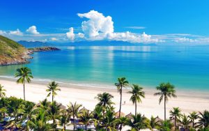 5 Steps to Airport SIM Card in Vietnam