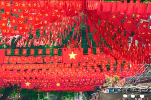 Receive OTP in Vietnam eSIM