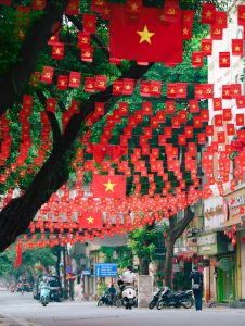 iPad eSIM Vietnam Setup