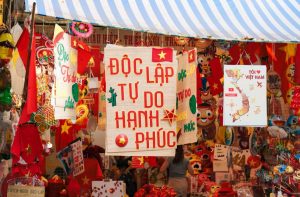 eSIM Vietnam Phone Number (2025 Guide): Why You Need It for OTP, Grab, Zalo, and Banking