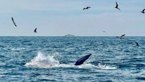 WhatsApp OTP Vietnam Number (2025 Guide): How to Verify and Keep Your Account While Using eSIM