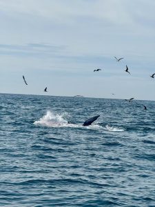 Vietnam Arrival & Airport Guides (SGN/HAN/DAD) – SIM, Taxi, Customs & Duty-Free (2025)