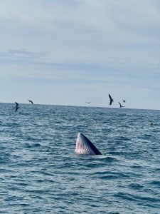 Change Number to Vietnam for Apps – A Complete 2025 Guide