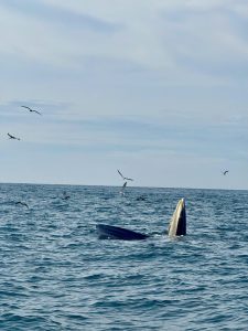 Grab OTP Vietnam eSIM – Practical Guide for Travelers in 2025