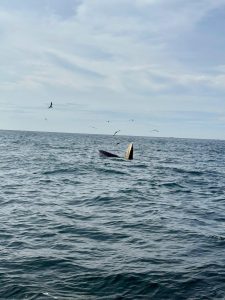 LINE OTP Vietnam Number (2025 Guide): Verify and Use eSIM with Local Number