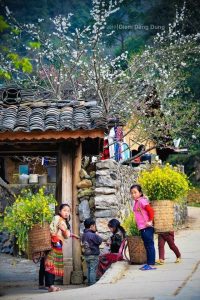 Battery & Data Saving for Ha Giang Loop 2025 — Practical Tips