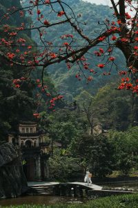 Trang An SIM 2025 – Best SIM & eSIM Options in Ninh Binh