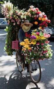 Vietnam eVisa 2025: Extension & Visa Run
