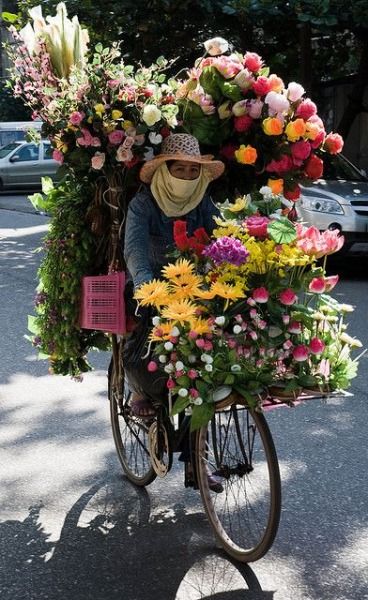 Vietnam eVisa 2025: Extension & Visa Run