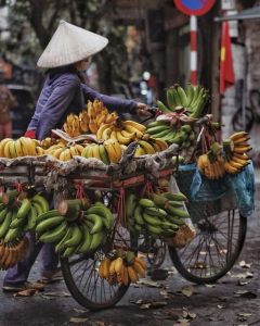 Vietnam eVisa Payment & Status Issues 2025: How to Fix Failed Transactions