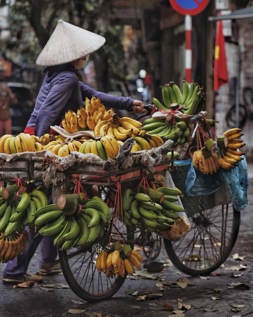 Vietnam eVisa Payment & Status Issues 2025: How to Fix Failed Transactions