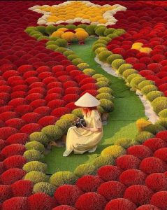 customs declaration Vietnam