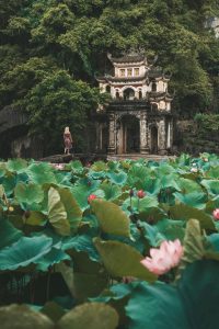 Best Network in Ninh Binh 2025 – SIM & eSIM Coverage Guide