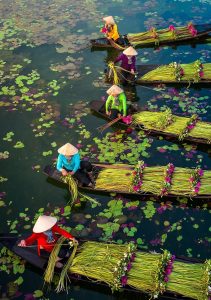 How to Get SIM from Hanoi to Ninh Binh – 2025 Connectivity Guide