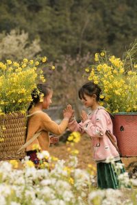 Offline Maps North Vietnam 2025 — Ha Giang Loop Navigation Guide