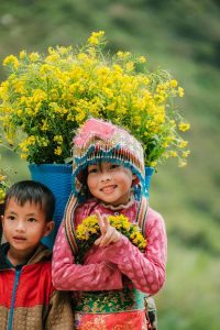 Emergency Contacts Ha Giang Loop 2025 — Safety & Connectivity Guide