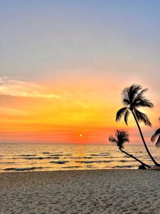 Phu Quoc Coverage Map 2025 Guide