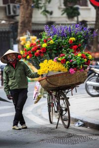 Vietnam eVisa 2025: Rejection Reasons & How to Reapply