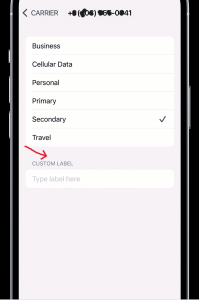 Name eSIM Profiles Vietnam – How to Label & Manage Multiple eSIMs (2025)