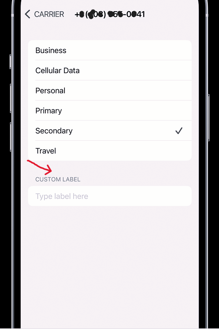 Name eSIM Profiles Vietnam – How to Label & Manage Multiple eSIMs (2025)